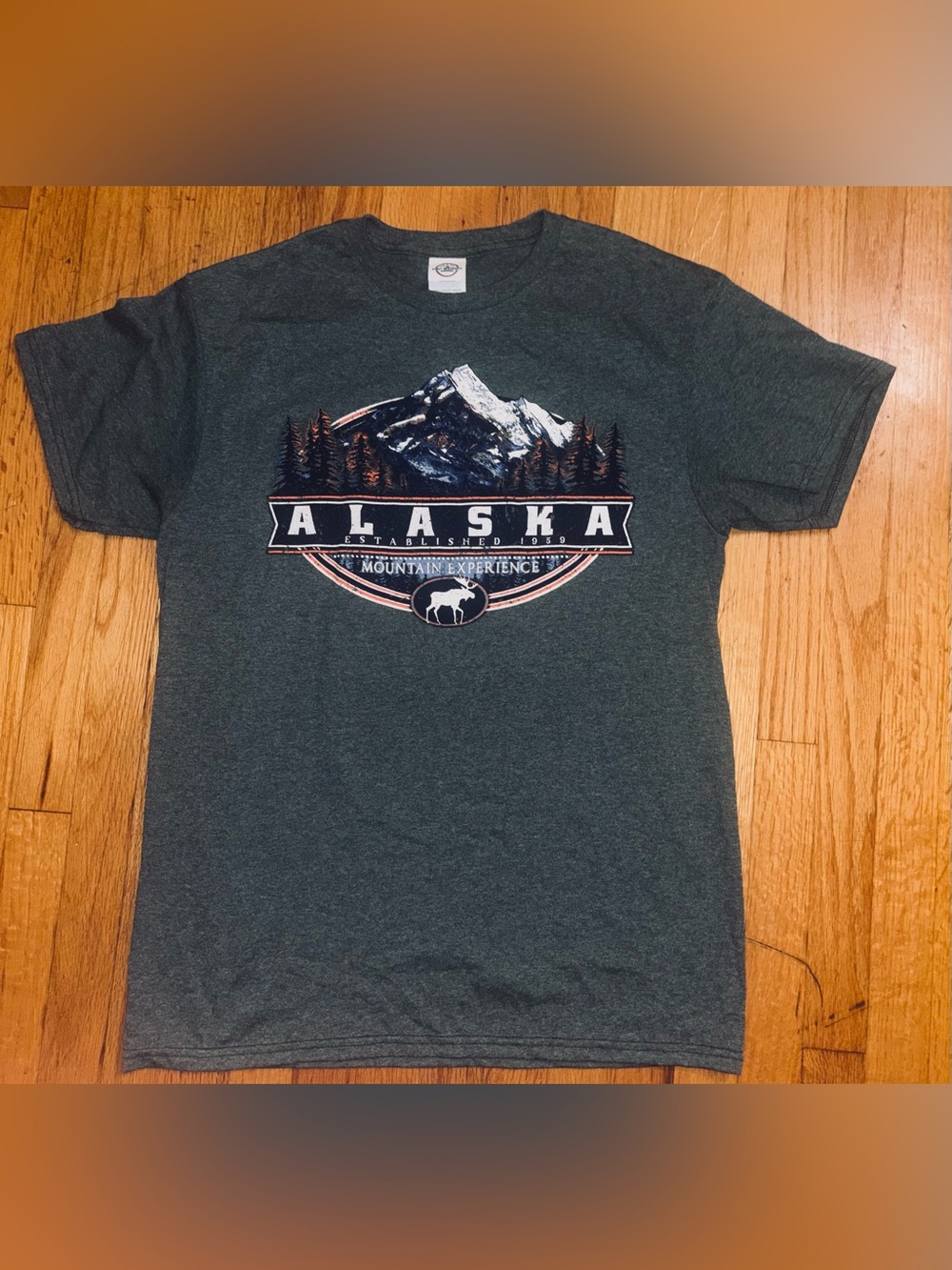 Delta Pro Green Alaska Mountain Experience Graphic Crew Neck T-Shirt M